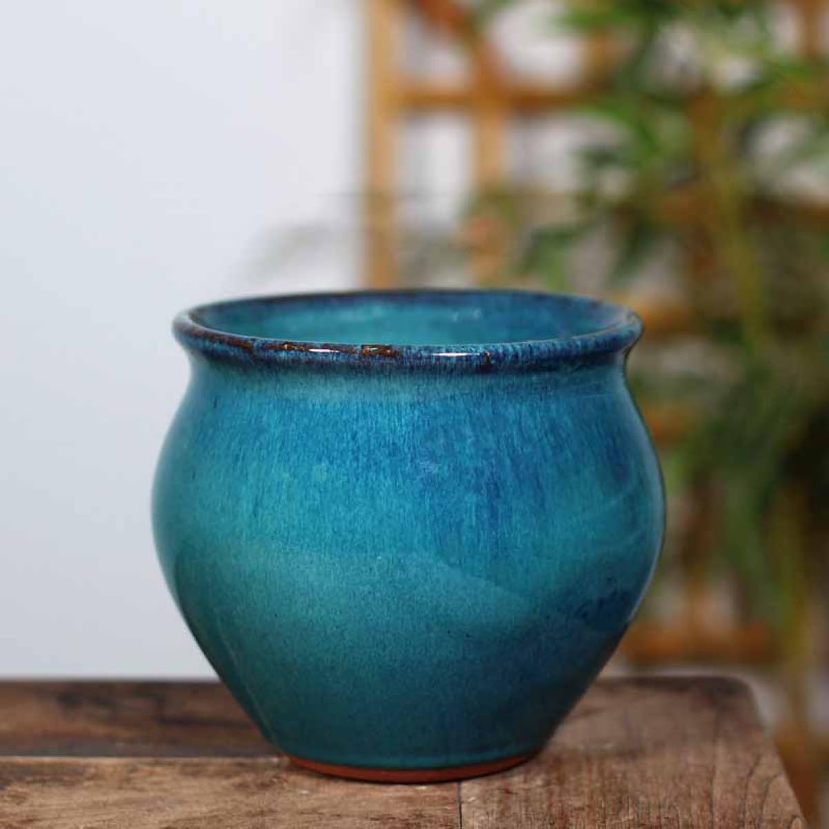 Amazon.co.jp: [ムリョ] 植木鉢 陶器鉢 プランター 5号 受け皿なし