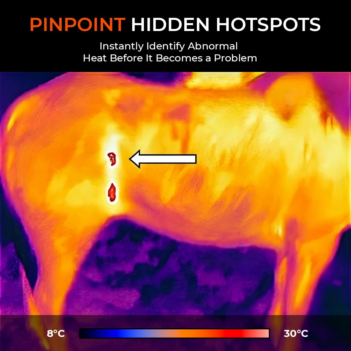 EquiThermis Cámara Termográfica para Caballos – Detecta Cambios de Calor e Inflamación en Caballos, Cámara Infrarroja Portátil para Cuidado Equino, Resolución Mejorada 240×240