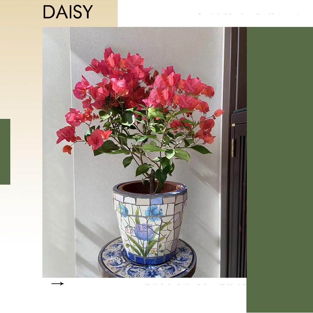 Ceramiczna doniczka na sukulenty, roślina domowa, kaktus, bonsai, dekoracyjna doniczka, pojemnik na rośliny z otworami drenażowymi, ceramiczne doniczki, ręcznie malowana