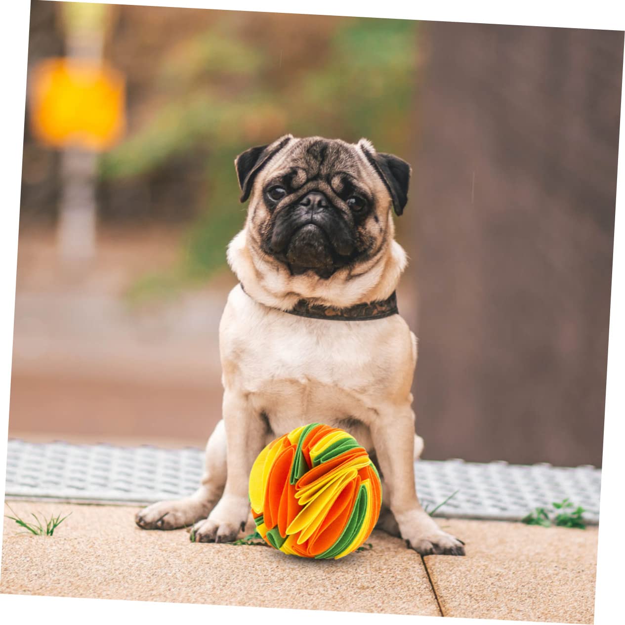FOMIYES 3 Juguetes Interactivos para Perros Juguetes Molares para Mascotas Juguetes para Masticar con Fugas De Comida.