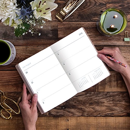 Orange Circle Studio 2019 Medium Leatheresque Weekly Agenda, August 2018 - December 2019, Hello Metallic Pink #TOP5