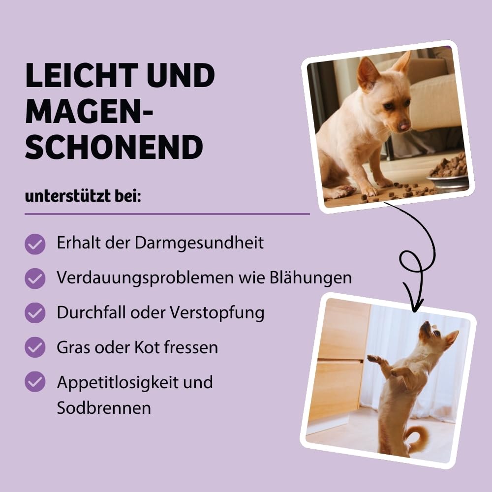 BugBell 800g BellyVital - Premium Trockenfutter mit Insekten - Fettreduziertes Trockenfutter für Hunde - Verdauung & Darmflora mit Präbiotika - Hundefutter trocken mit Löwenzahn (Packung mit 2)