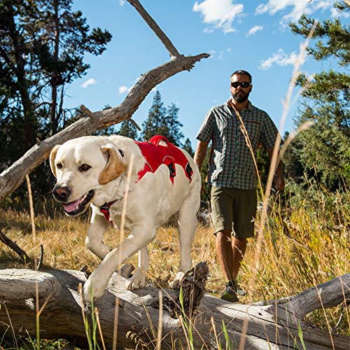 Harnais Chien de Travail RUFFWEAR S pour Ajustement sur Mesure - 8