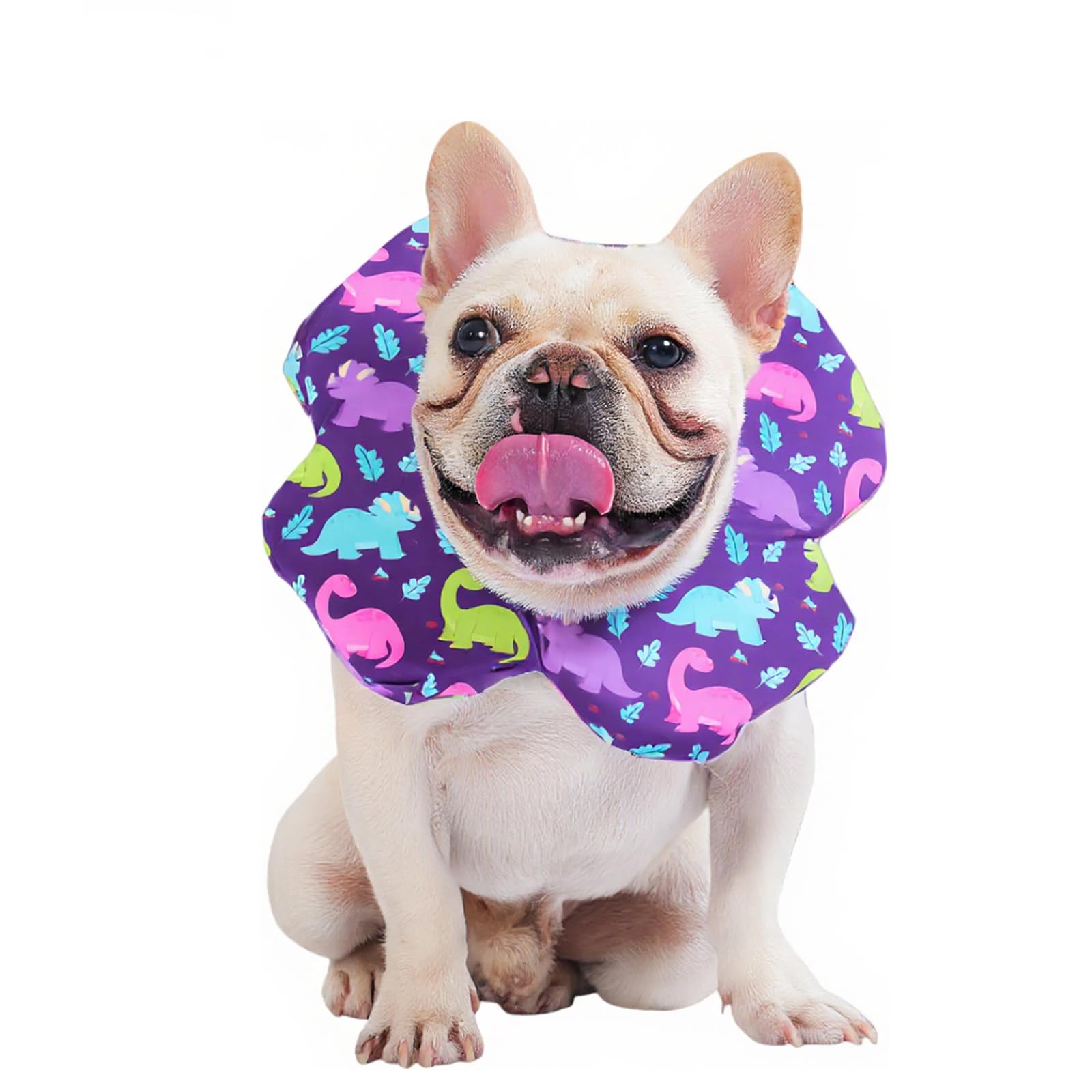 PetWarm Dog Surgery Collar, Dog Recovery Collar, Flower Design Protect Stitches After Procedures, Feeding And Drinking Without Bumping, Crate Rest After Spay Or Neuter, Dinosaur Pattern, Purple, L