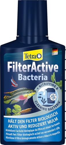 Tetra FilterActive 100 ml - Contiene bacterias iniciadoras vivas y bacterias limpiadoras reductoras de lodo