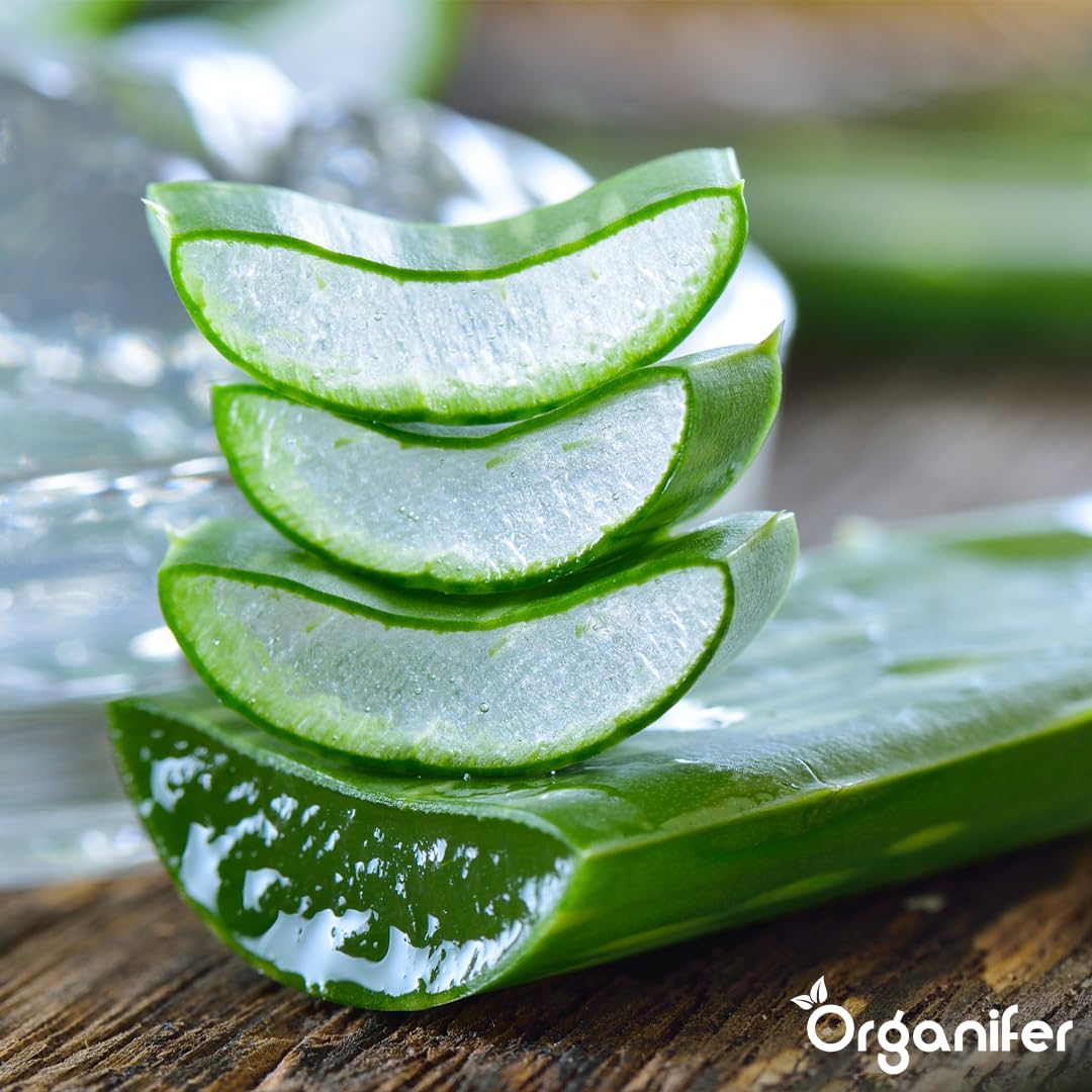 Fertilizante Líquido Para Aloe Vera - 2x1L - NPK 2-1-8 | Fertilizante Para Hojas Fuertes Y Suculentas Sanas - Favorece Raíces Y Vitalidad - Organifer