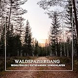  Waldspaziergang