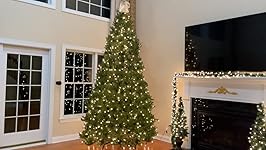 Review Image by Dan Dan