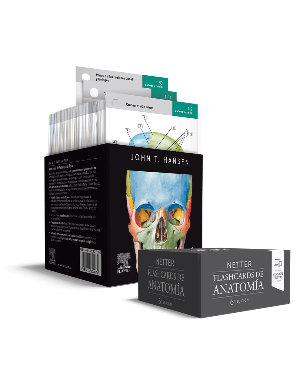 Netter. Flashcards de anatomía Hardcover – March 15, 2023