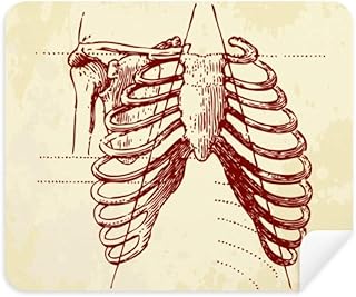 Rib Human Pleural Sketching Skeleton Cleaning Cloth Screen Cleaner 2pcs Suede Fabric