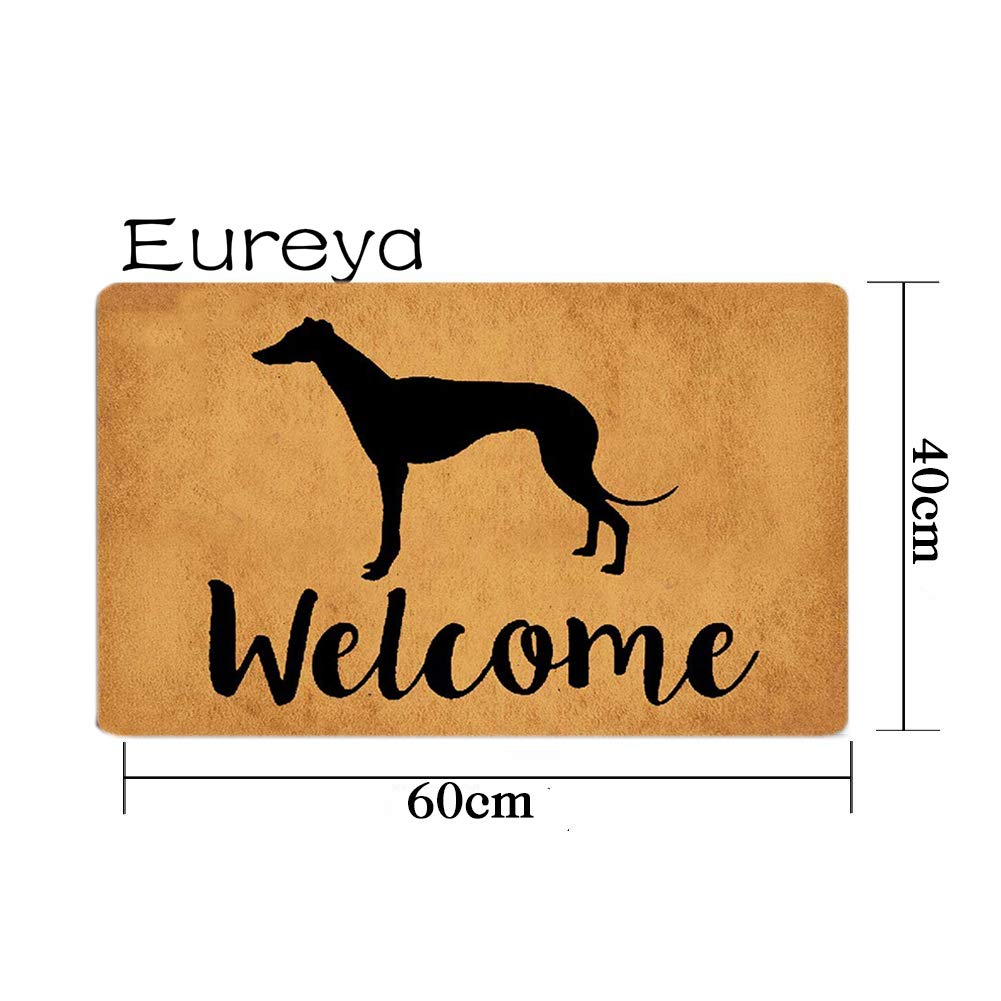 Door Mat, Dirt Trapping Mat, Outdoor Foot Sweeper, Door Mat, Non-Slip Dirt Trapping Mat, Entrance Mat, for Indoor and Outdoor, Mixa, Grey, 50 x 100 cm