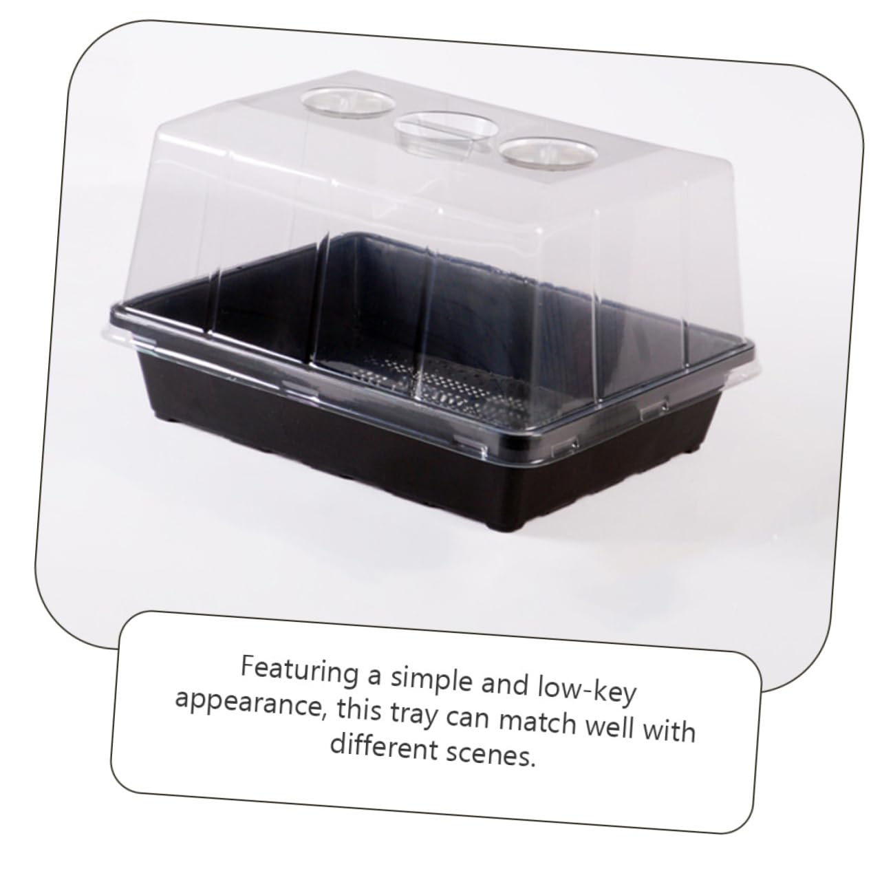 Plateau de Germination Modèle 5 1 Set en Plastique pour Semis et Plantes