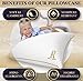 Royal Therapy King Memory Foam Pillows - Shredded Memory Foam Pillow for All Sleep Positions - Medium Firm Pillow with Adjustable Loft - Bamboo-Derived Rayon Cover - CertiPUR-US & Oeko-TEX Certified
