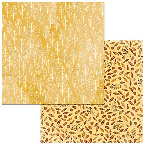 BO Bunny 7310323 feuilles papier multi de scrapbooking créatif