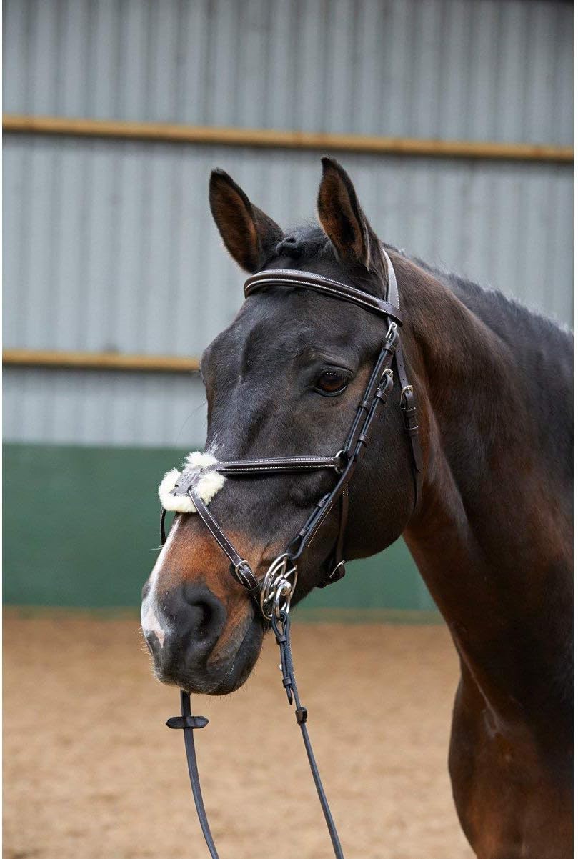 John Whitaker Mexican Grackle Bridle Full Size Light Havana
