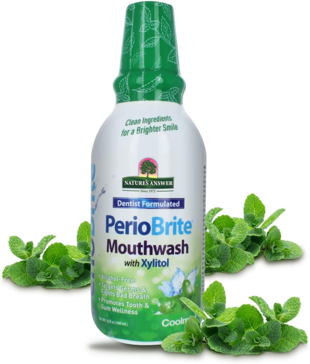 NATURE'S ANSWER PERIO-WASH MOUTHWASH, 16 FZ