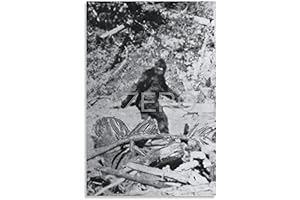 Alleged Bigfoot Canvas Poster: Mysterious Creature Adorns Your Walls