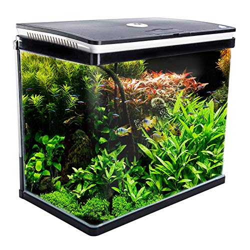 Dynamic Power 52L Curved Glass Aquarium Fish Tank with 7W RGB LED Light, 8W 500L/H Filter Pump, Hinged Hood & Complete Filtration System, Freshwater & Saltwater Compatible