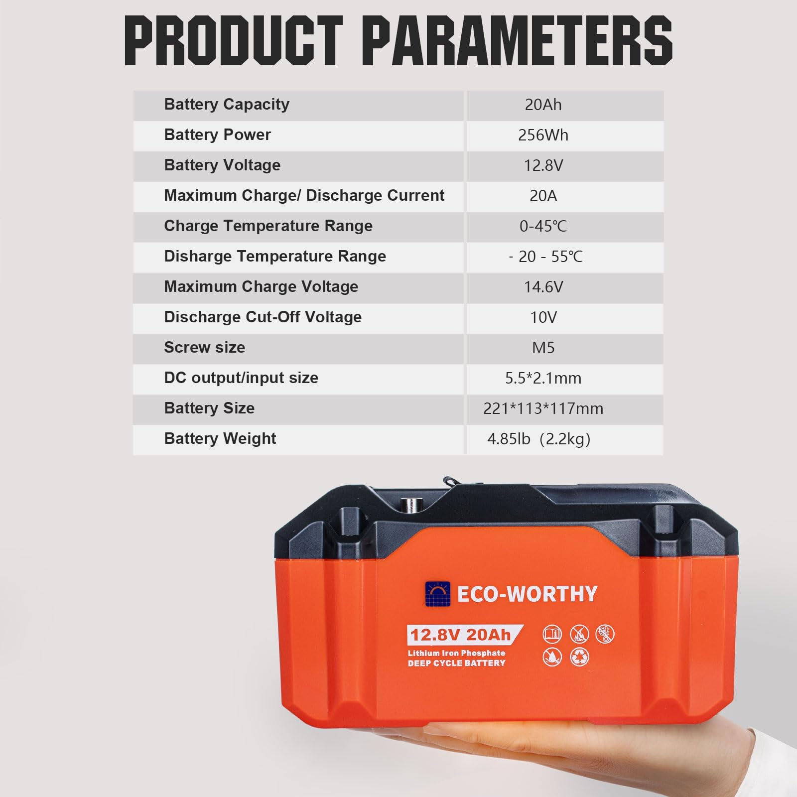 ECO-WORTHY Batería de litio LiFePO4 de 256 Wh, 12 V, 20 Ah, 12 V, con protección BMS y hasta 15000 ciclos profundos para camping, motor de trolling, barco