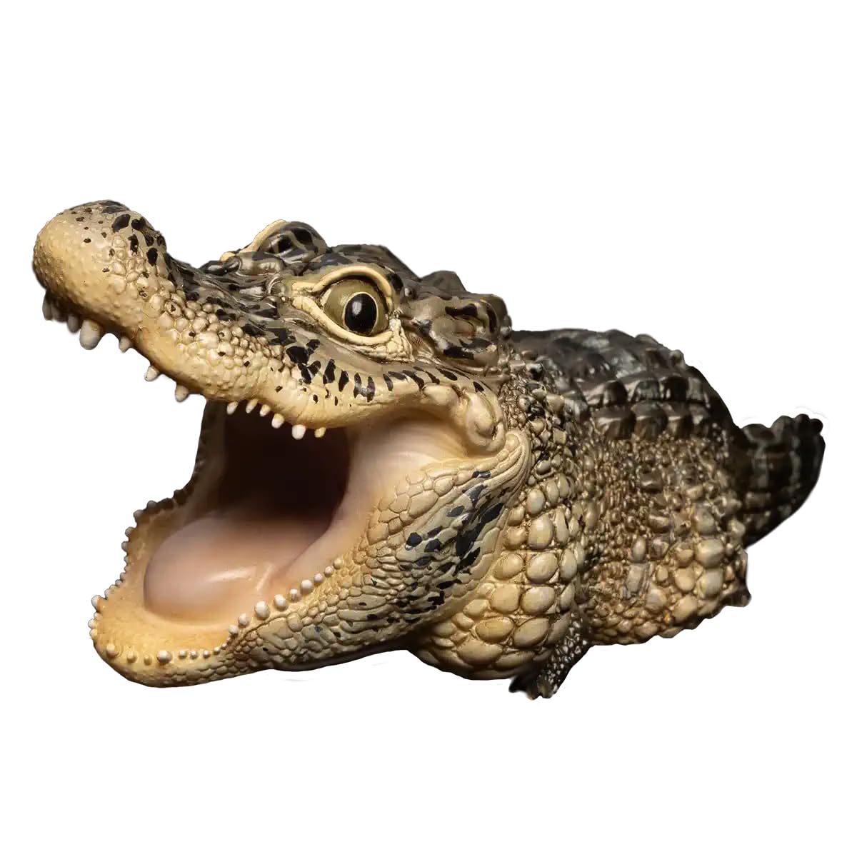 Amazon.co.jp: 【動物の惑星】ヨウスコウワニ フィギュア完成品
