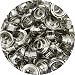 Springfield Leather Company Solid Brass Nickel Plate 1/2" Grommets 10 Pack