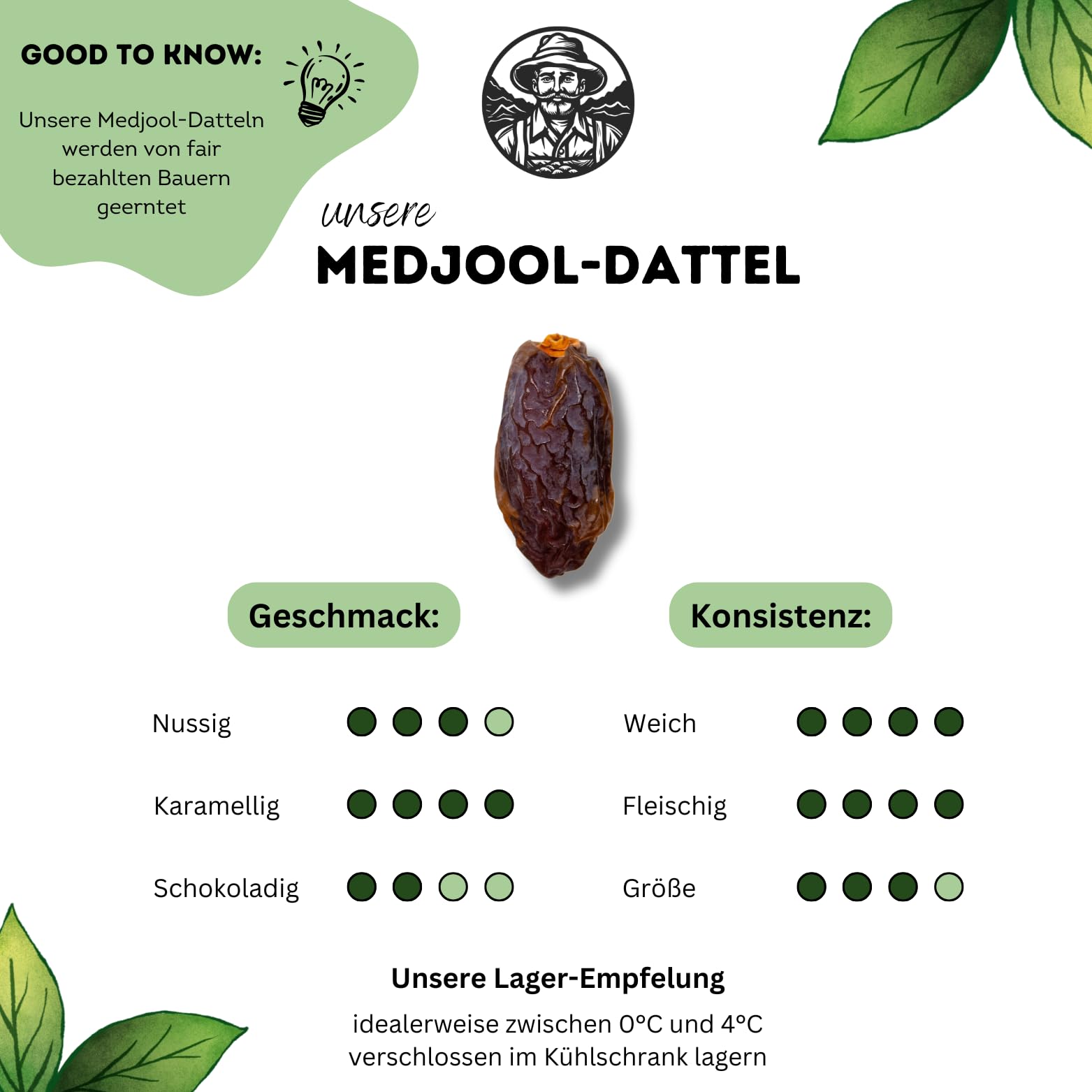 DATTELMANN Medjool Datteln Bio 5KG Medjoul XL Premium Trockenfrüchte