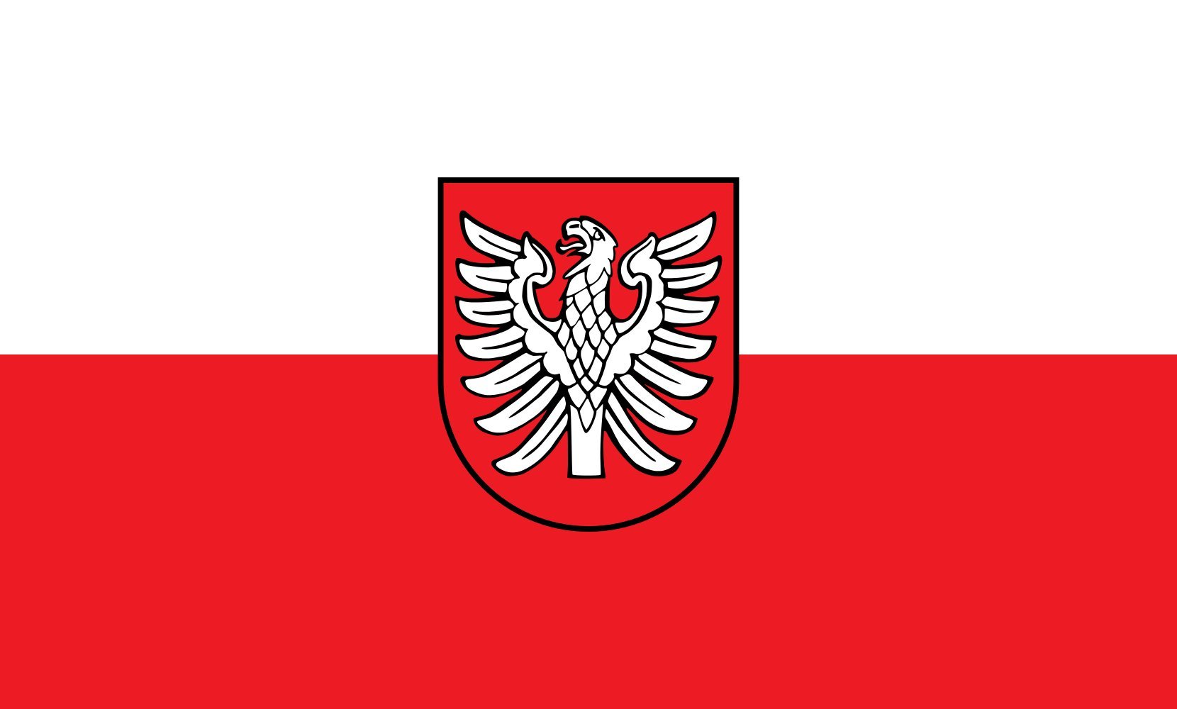 Drapeau Heilbronn grand format paysage 1.35m² en maille renforcée haute qualité