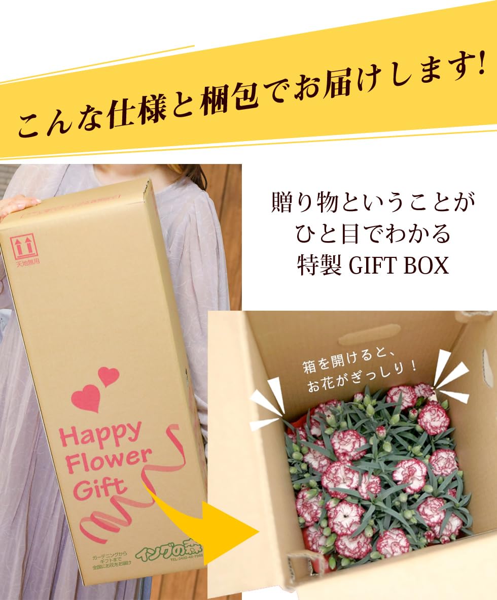 Amazon.co.jp: 母の日 2026 あじさい プレゼント ギフト アジサイ5号