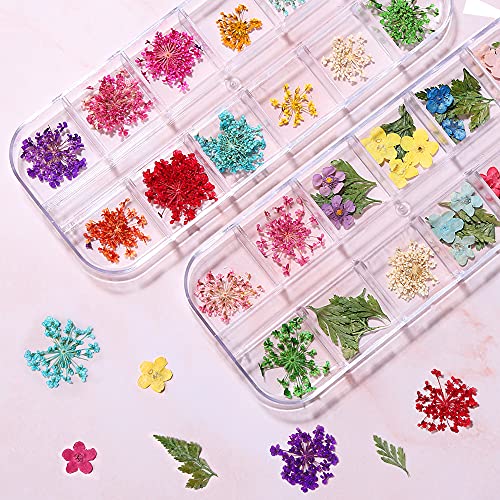 Lnkerco 24 Colors Nail Dried Flowers Set, 2 Boxes of Mini Natural Real Dry Flowers 3D Nail Art decor Accessories Kits for Nail Art Design Decoration Stickers, with Tweezers - Thumbnail 2