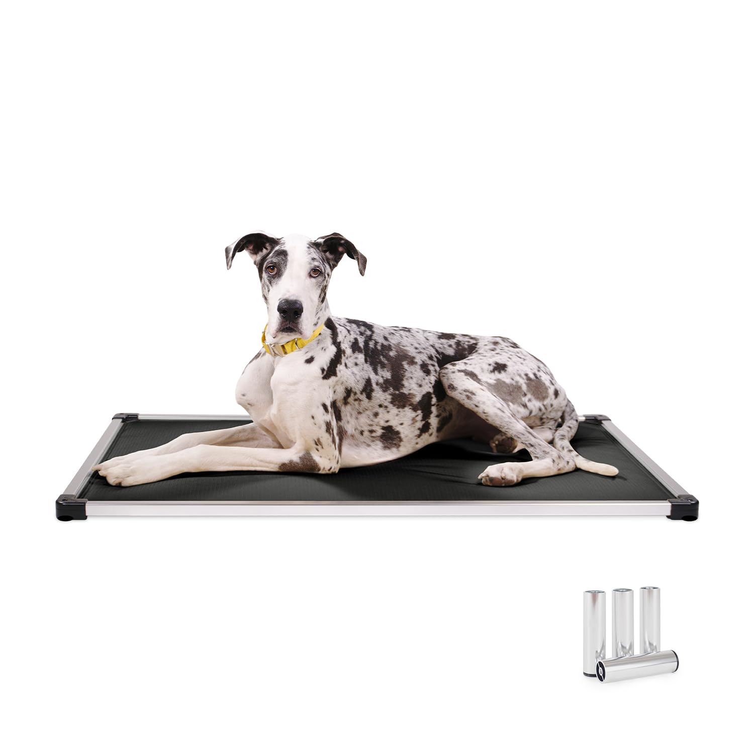 K9 Ballistics Chew Proof Armored Crate Bed