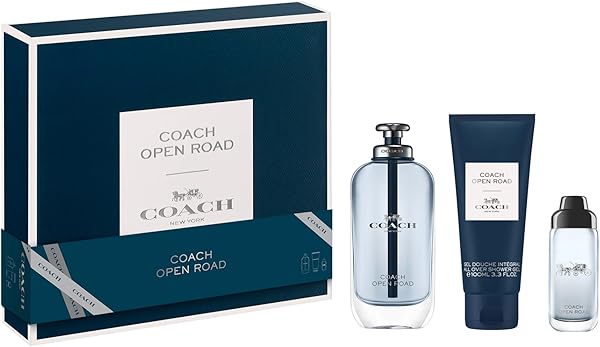 Coach Open Road