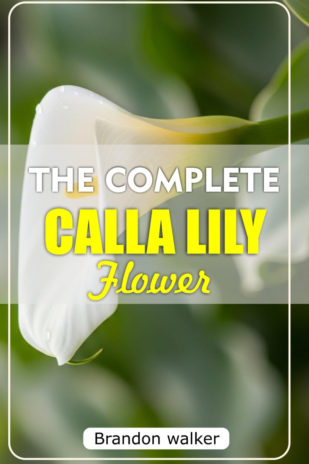 THE COMPLETE CALLA LILLY FLOWERS: The Ultimate Beginner's Guide to Growing, Caring For, and Harvesting Stunning Calla Lilies at Home and garden