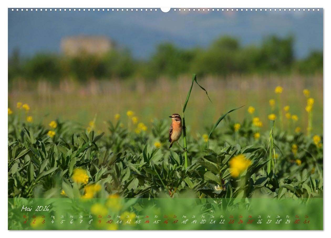 Wilde Toskana - von René Schaack (hochwertiger Premium Wandkalender 2026 DIN A2 quer), Kunstdruck in Hochglanz: Fotoreise ins Herz Italiens (CALVENDO Orte)