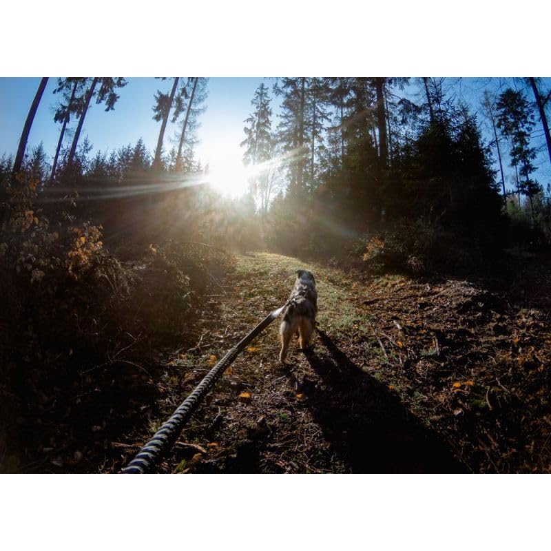 Non-stop dogwear Bungee Touring Leash 2m/23mm | 1539 Multitalent