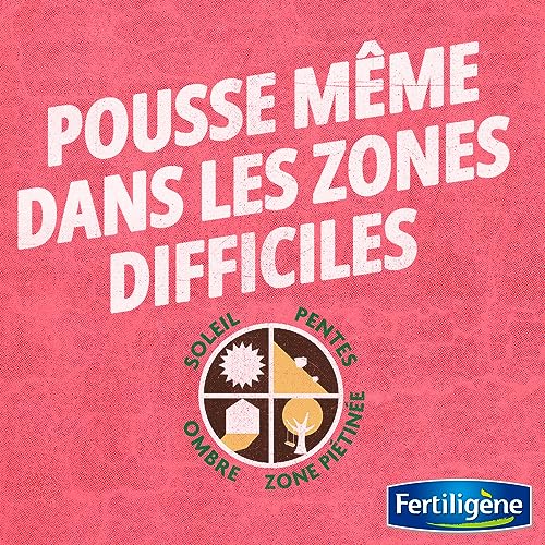 Patch Magic semences engrais FERTILIGENE pour rénover le gazon