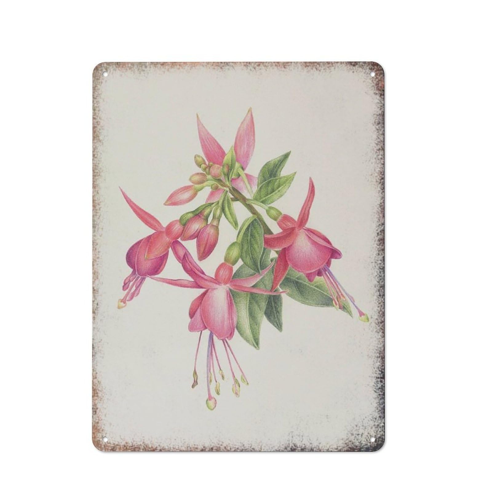 Fuchsia Flower Botanical Art Sign, Elegant Room Household Wall Decor, Cafe Yard Leisure Area,8x12 Inch