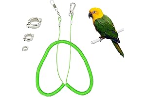 Wishlotus Conure Leash: Unleash Your Parrot's Freedom