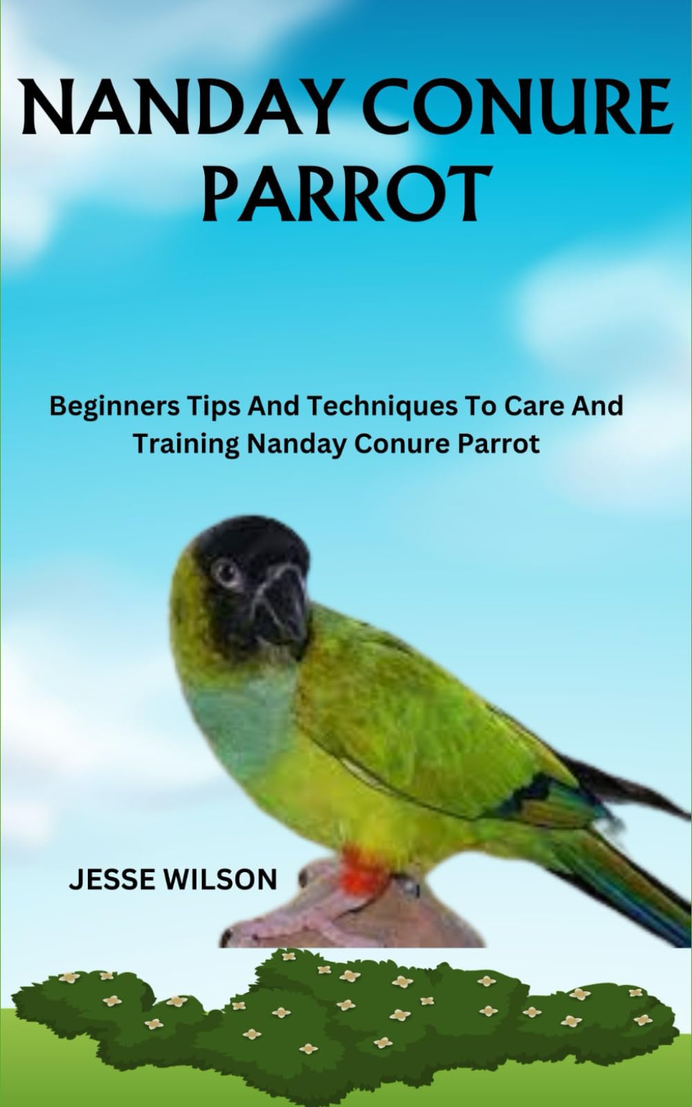 Nanday Conure Parrot: Beginners Tips And Techniques To Care And Training Nanday Conure Parrot