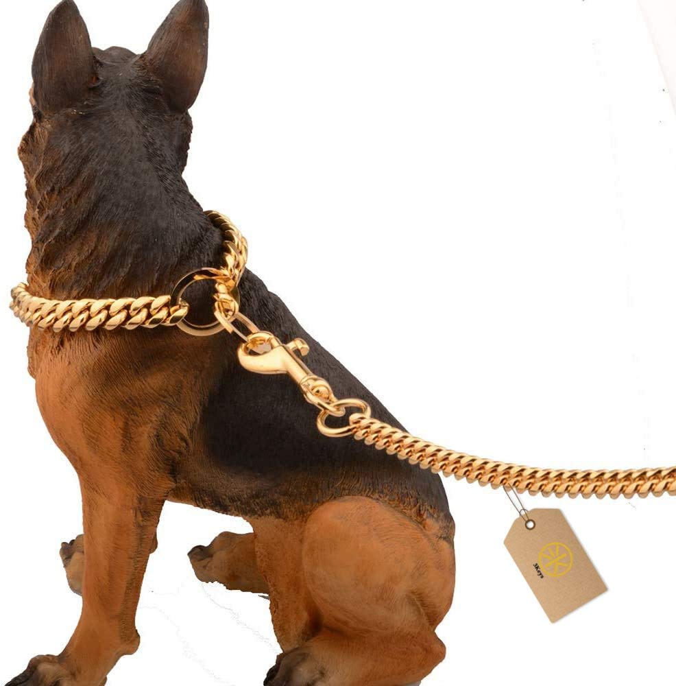dog chain belt