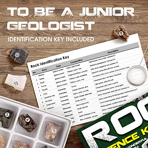 Image of Piano Potato Rock and Mineral Kit 15 PCS with Box, STEM Geology for Kids