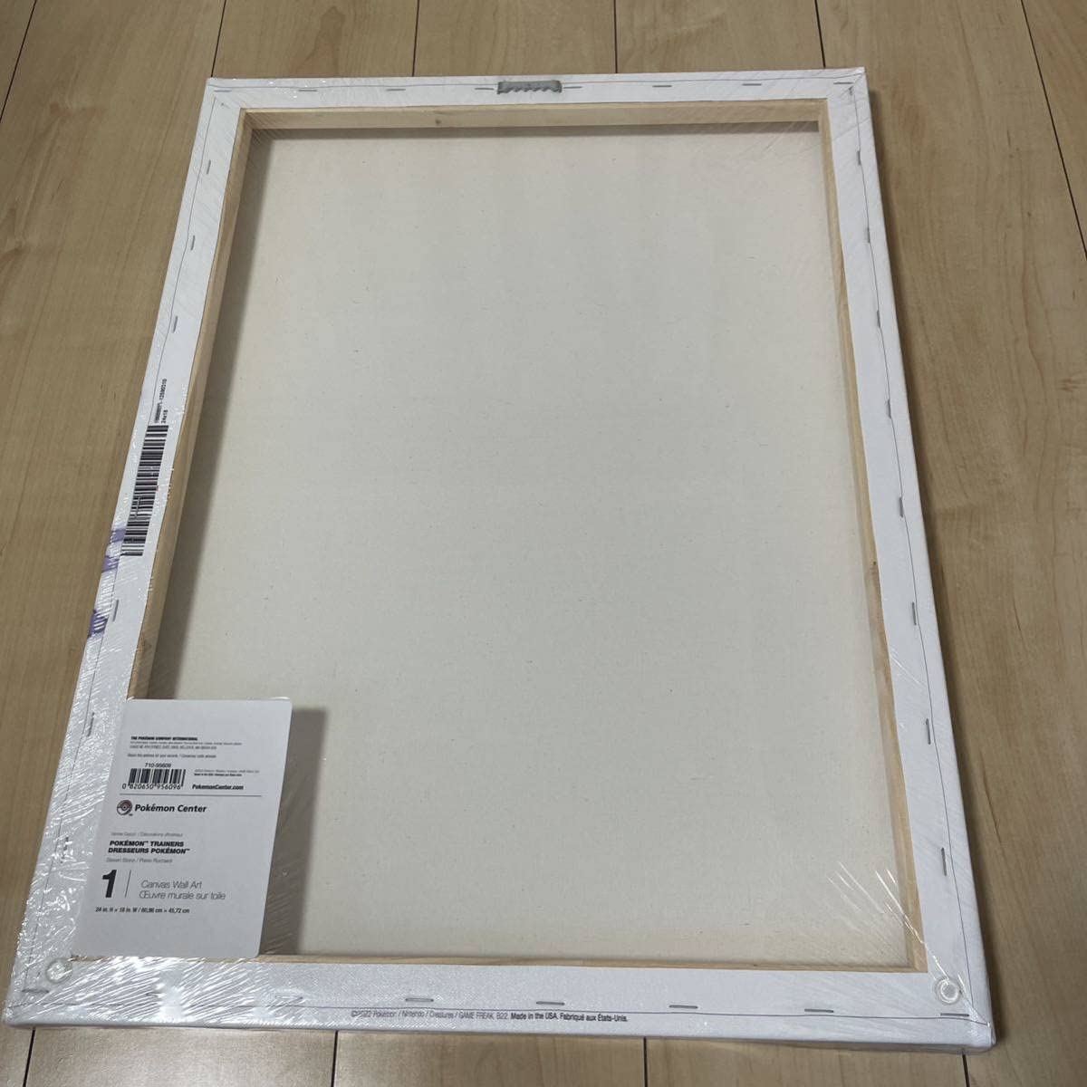 Amazon.co.jp: ○海外ポケモンセンター限定○キャンバス○ウォール
