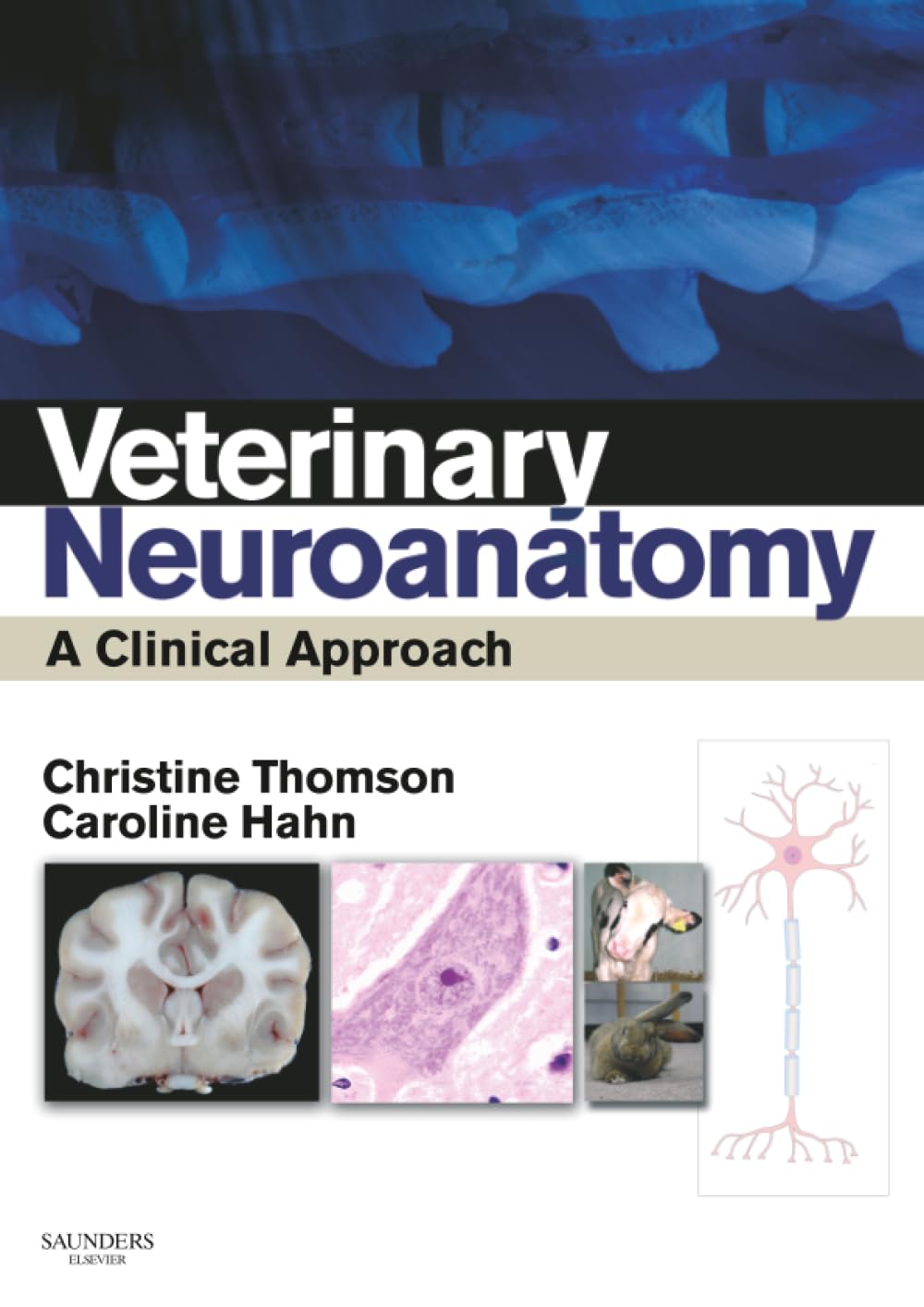 Veterinary Neuroanatomy: A Clinical Approach