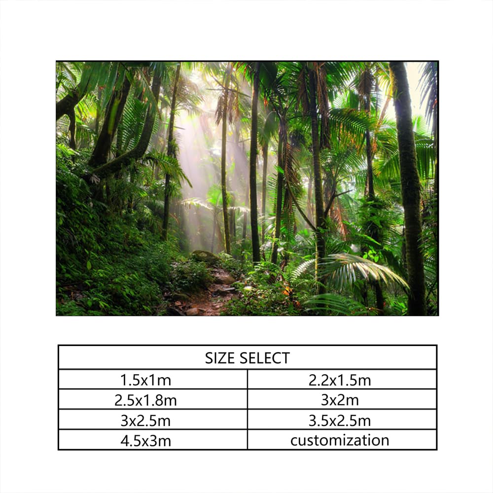 YongFoto 3x2,5m Vinile fondali fotografici Giungla Dirt Road I raggi del sole Palme Natura Sfondo foto Studio Fotografico nozze Fondale foto Accessori carta da parati