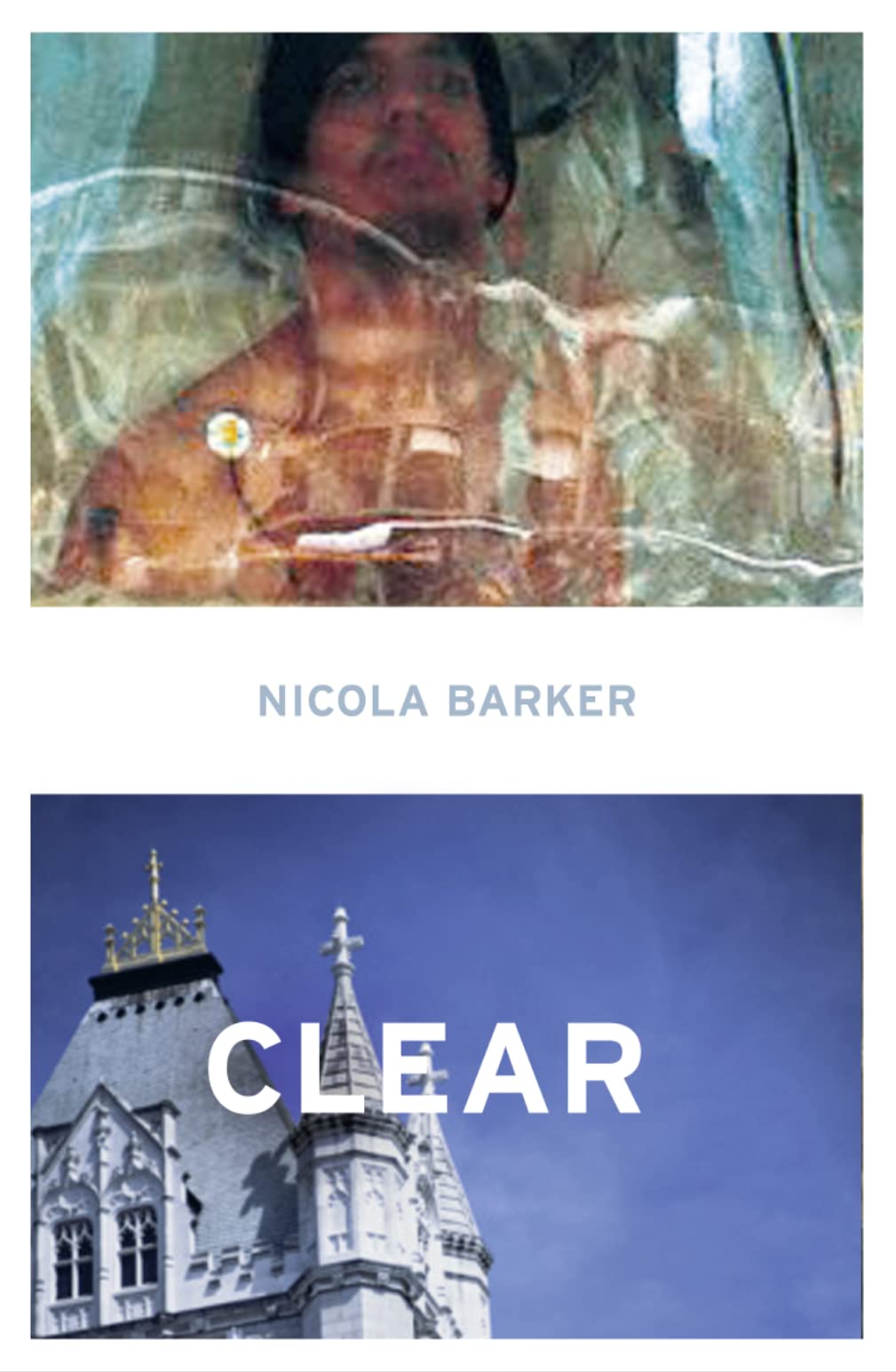 Clear: A Transparent Novel By Nicola Barker. 9780007193615