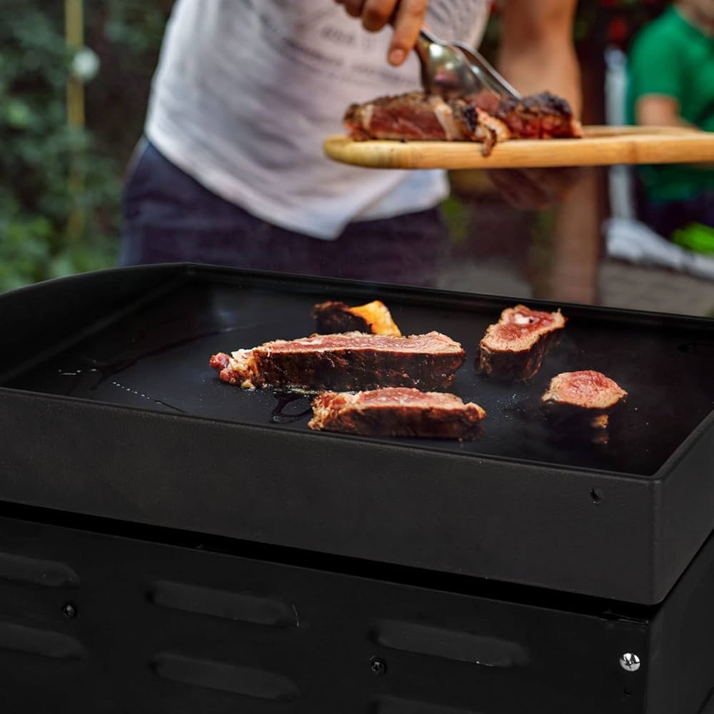 Blackstone Igniter Not Clicking? A List Of Solutions!, 55 OFF