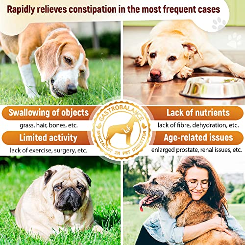 GastroBalance linderung verstopfung beim Hund – 60 weichen kausnacks abführmittel für Hunde 100% natürliche Wirkstoffe (Bacon-Geschmack)