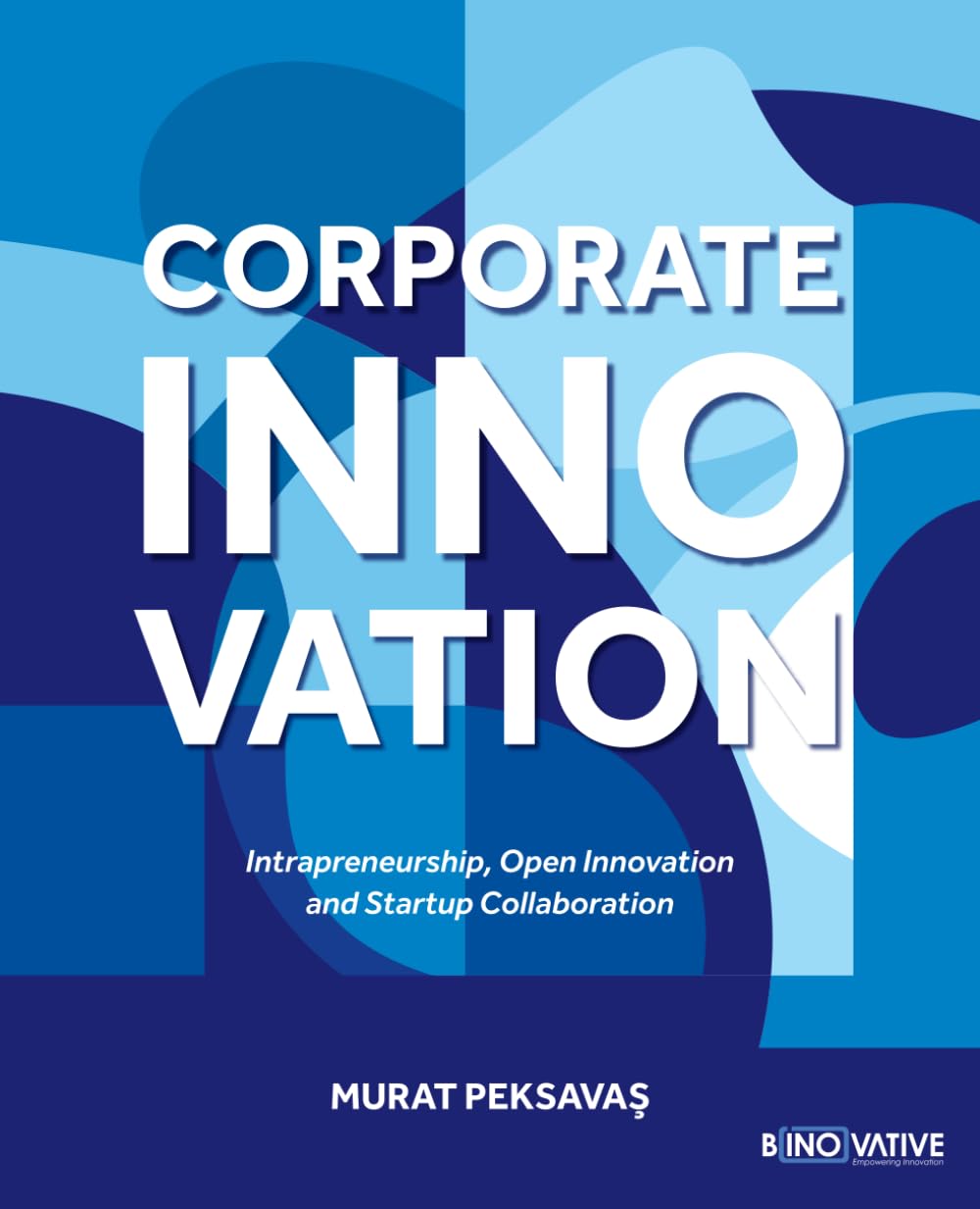 Corporate Innovation: Intrapreneurship, Open Innovation and Startup Collaboration