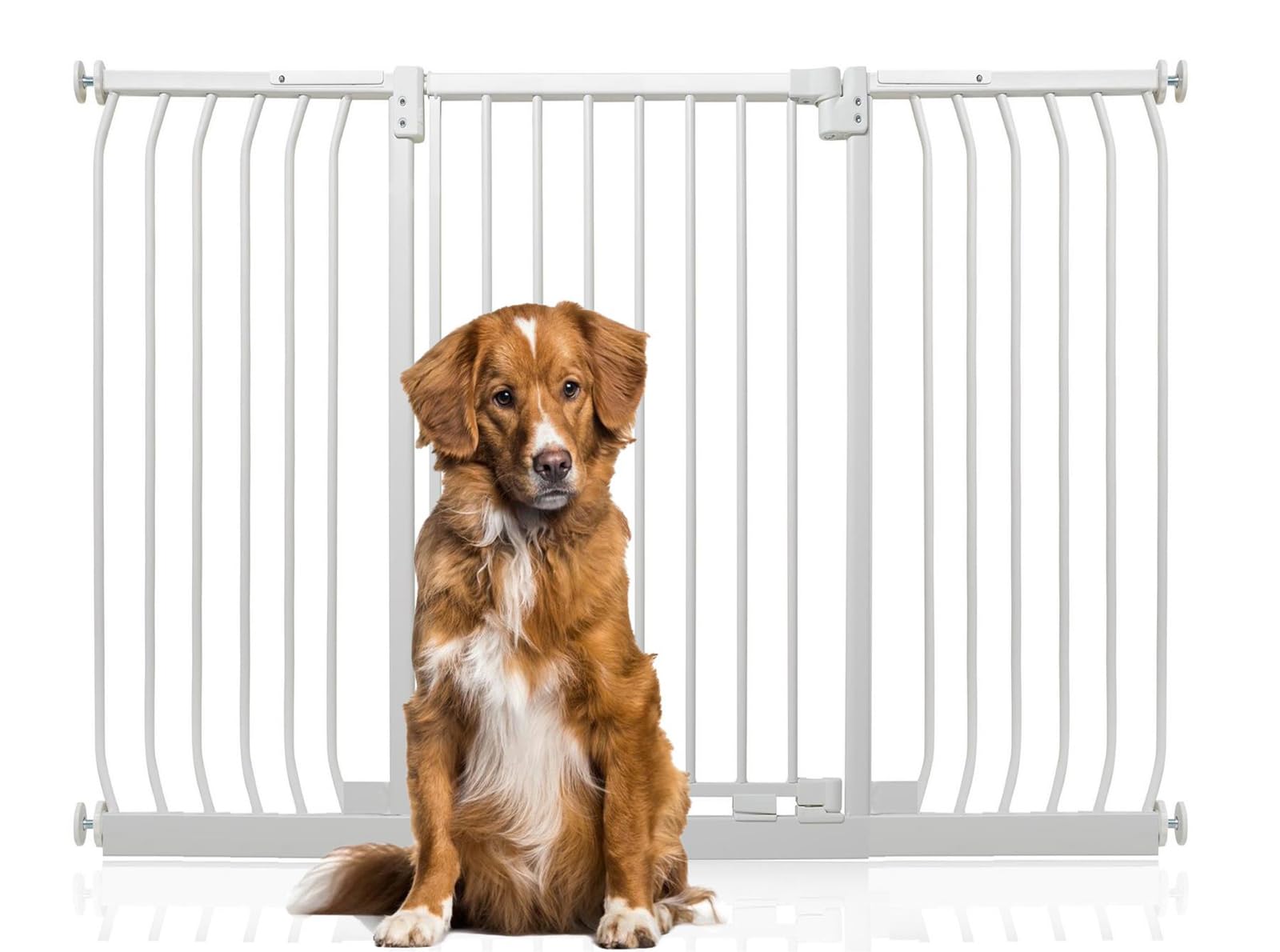 Bettacare Extra Tall Elite Dog Gate, 143cm - 152cm, Matt White, Extra Tall 100cm in Height, Pressure Fit Pet Gate for Dog and Puppy, Pet and Dog Barrier, Easy Installation