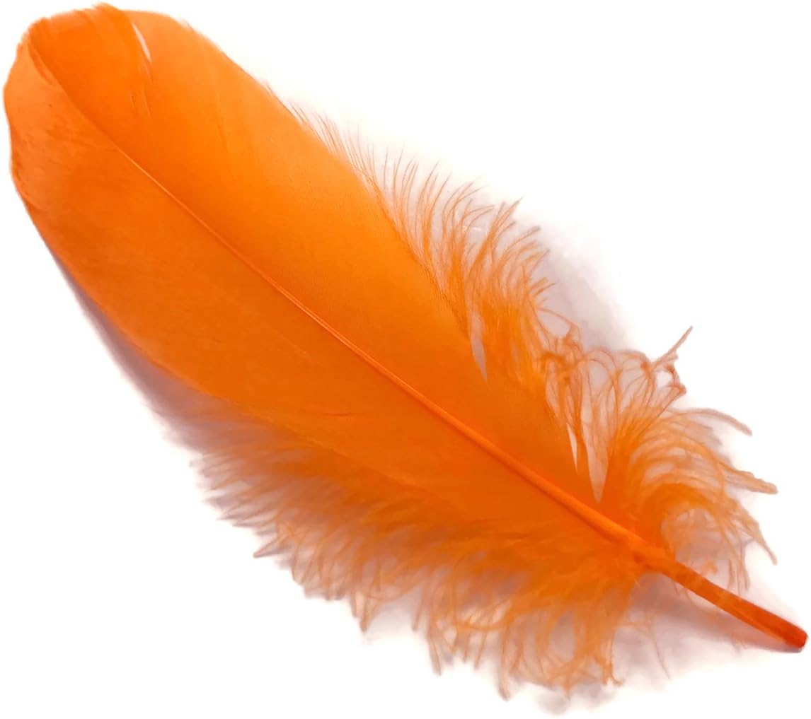 1 Pack - Orange Goose Nagoire Wing Loose Feather - 0.25 Oz. Dream Catcher, Wedding, Halloween Craft Feathers | Moonlight Feather