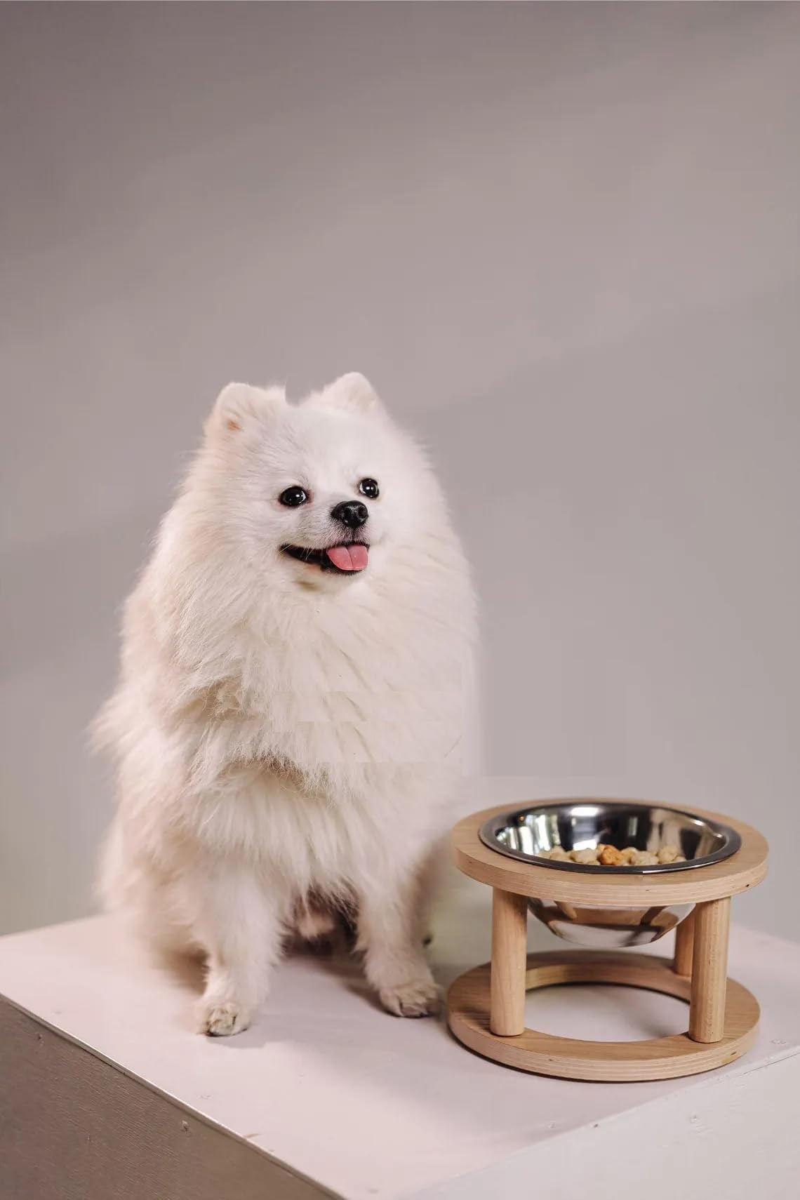 XSOURCE Cuenco elevado de madera para gatos con inserto de acero inoxidable, soporte elevado para gatos y perros pequeños, antivómitos, diseño ergonómico, base antideslizante